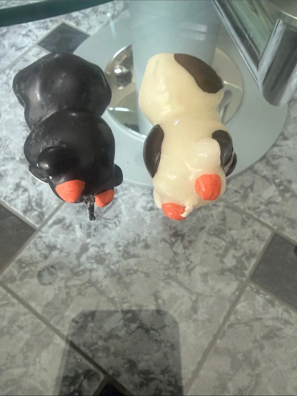 N/A charming cow